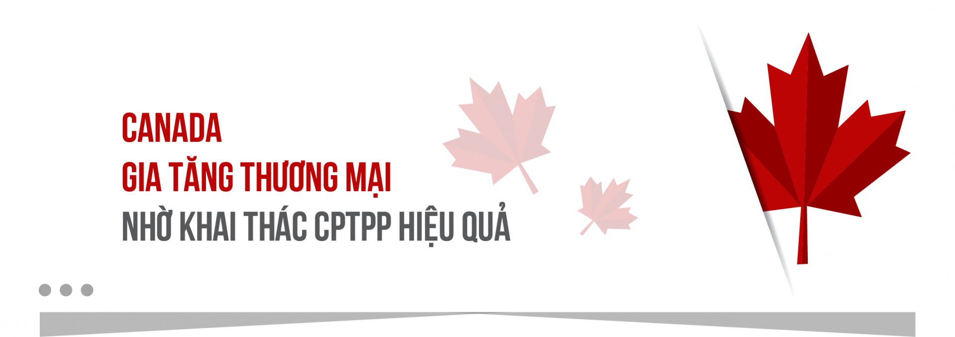 tận dụng CPTPP 1