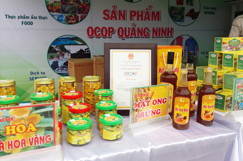quảng ninh 3