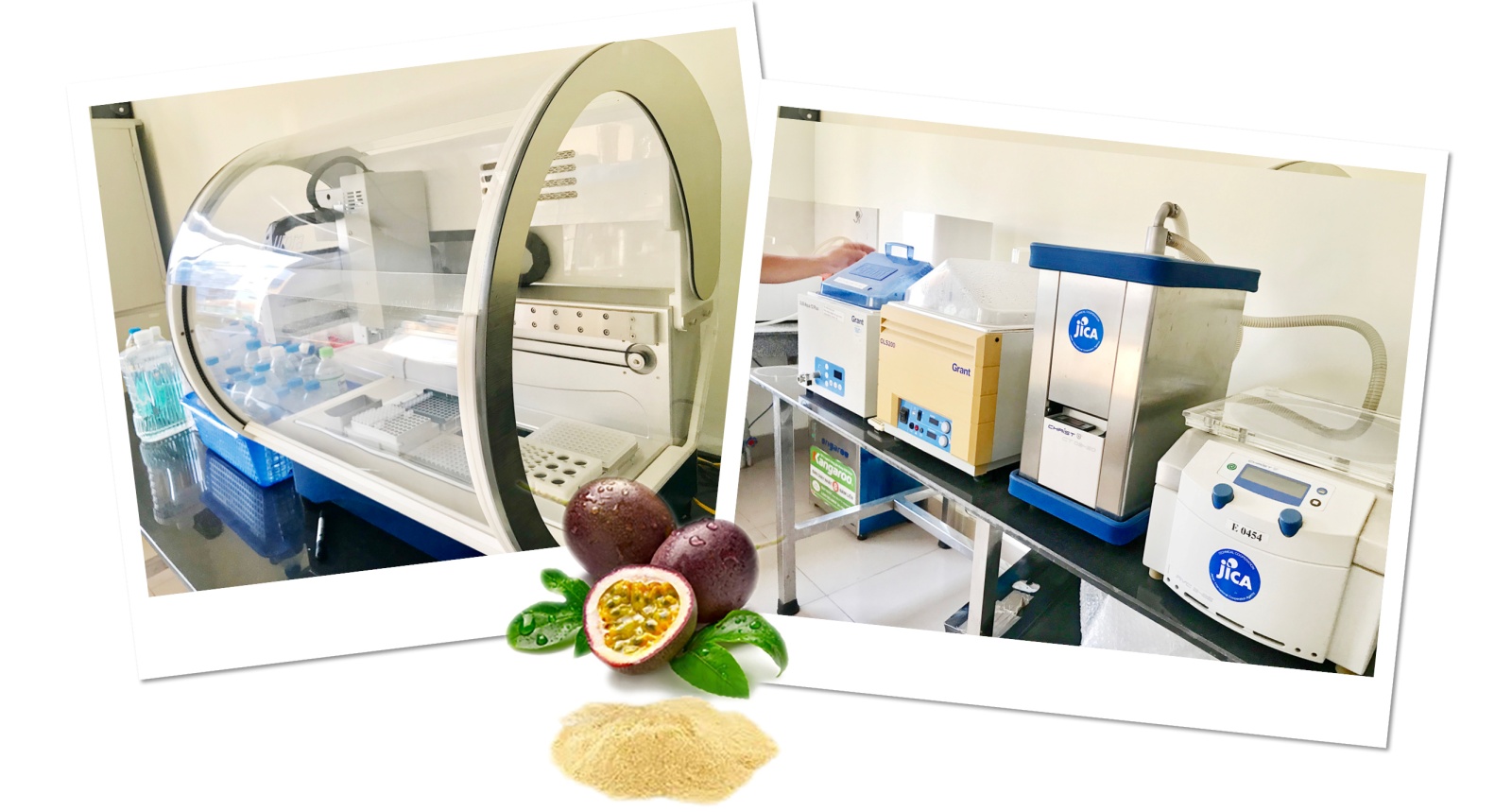 viện công nghiệp thực phẩm