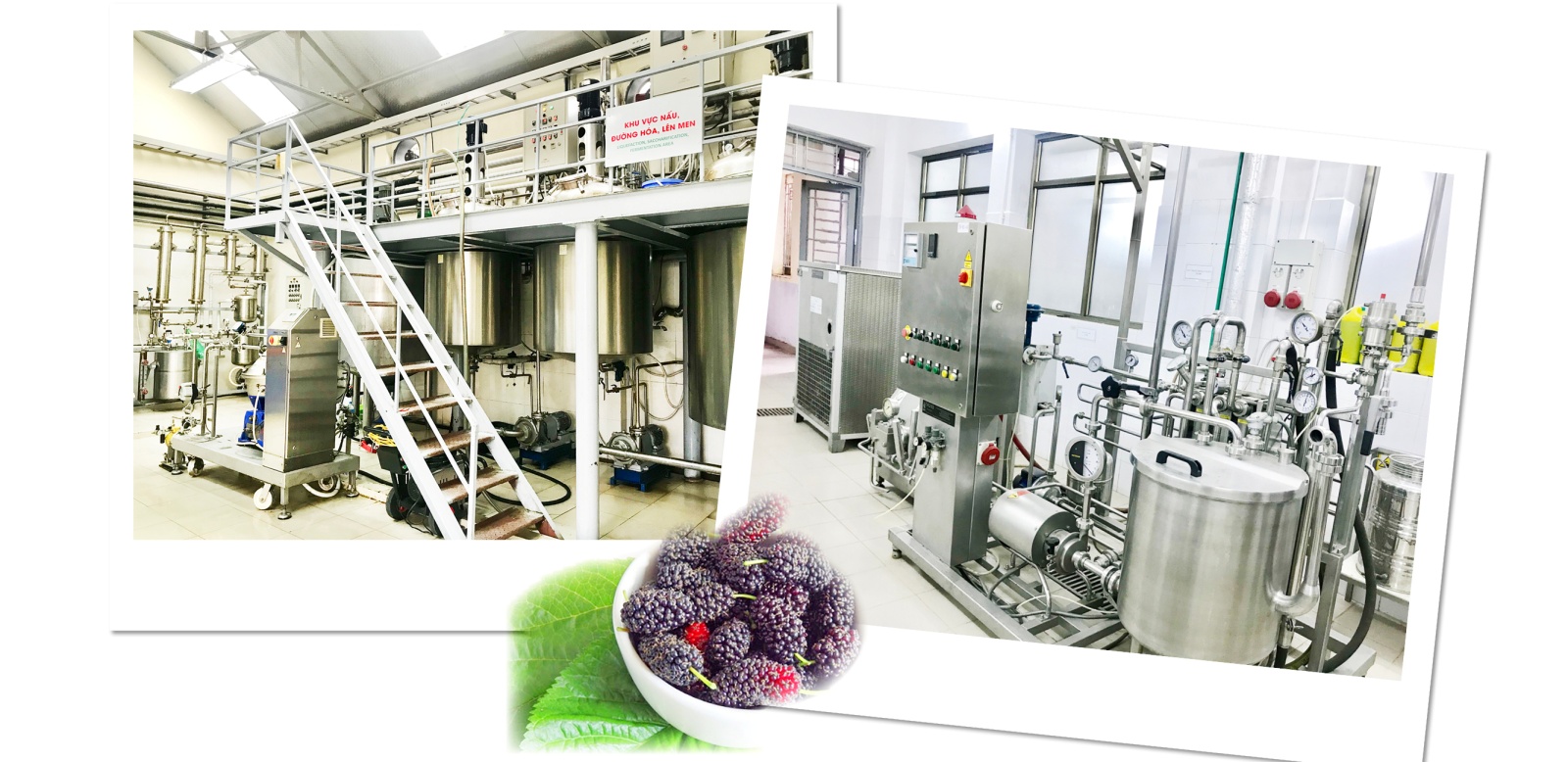 viện công nghiệp thực phẩm