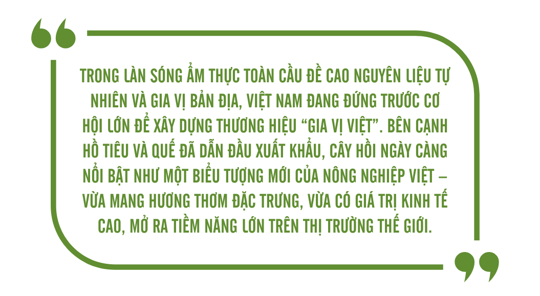 hồi 9