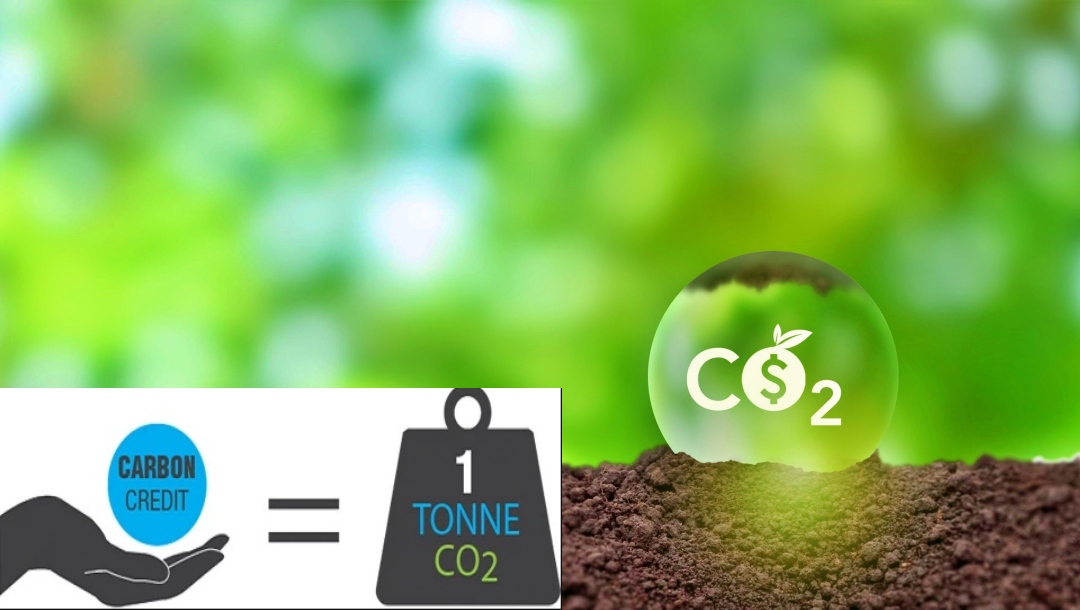 thị trường carbon