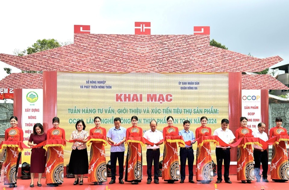 khai mạc