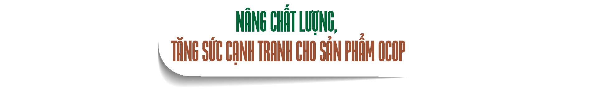 sản phẩm OCOP
