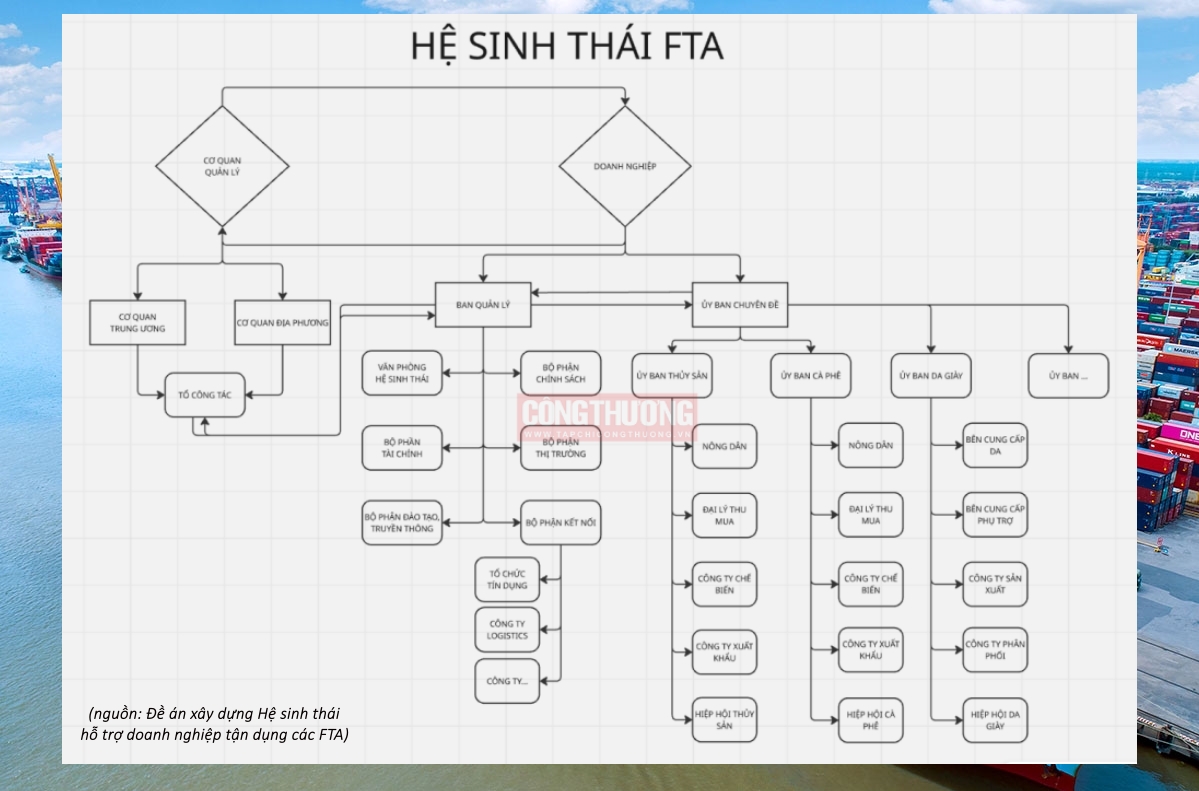 mô hình hệ sinh thái fta