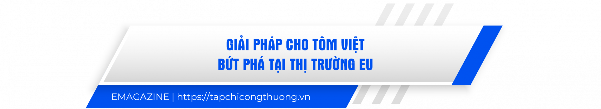 giải pháp EU