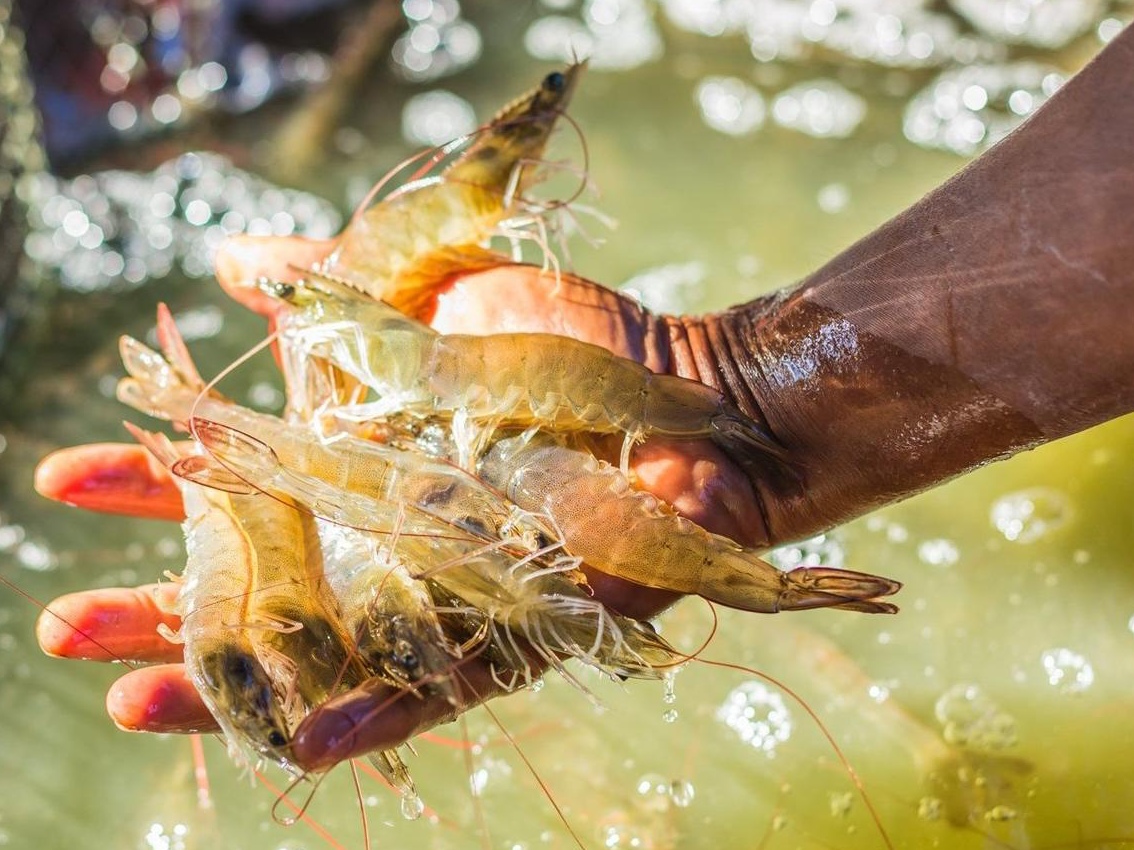 Tận dụng quy tắc xuất xứ trong xuất khẩu hàng hóa Việt Nam