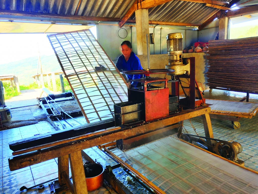 sản xuất miến