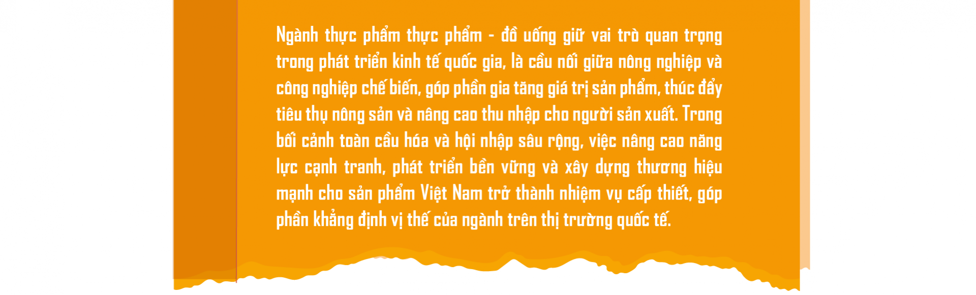 Xây dựng thương hiệu thực phẩm Việt Nam, bứt phá từ xúc tiến thương mại số
