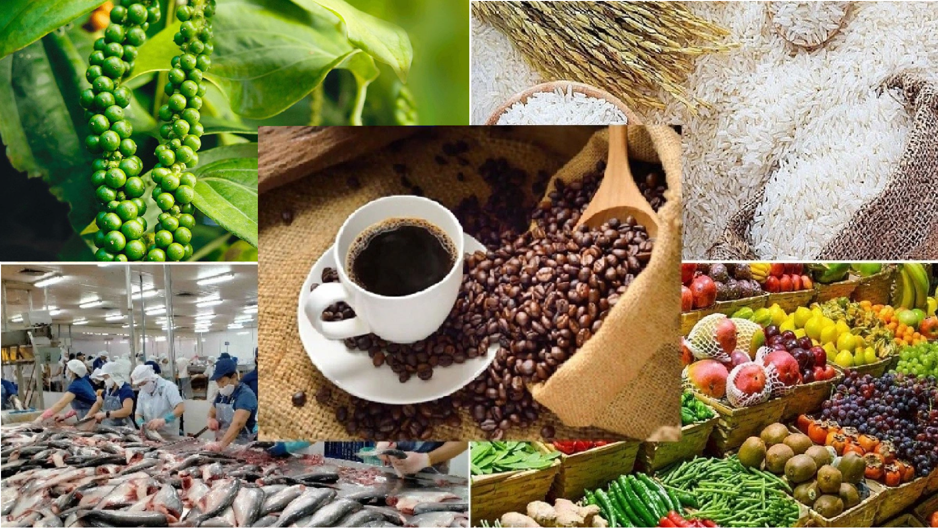 Xây dựng thương hiệu thực phẩm Việt Nam, bứt phá từ xúc tiến thương mại số