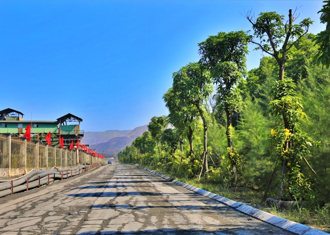 hình ảnh về mô hình công viên xanh của TKV