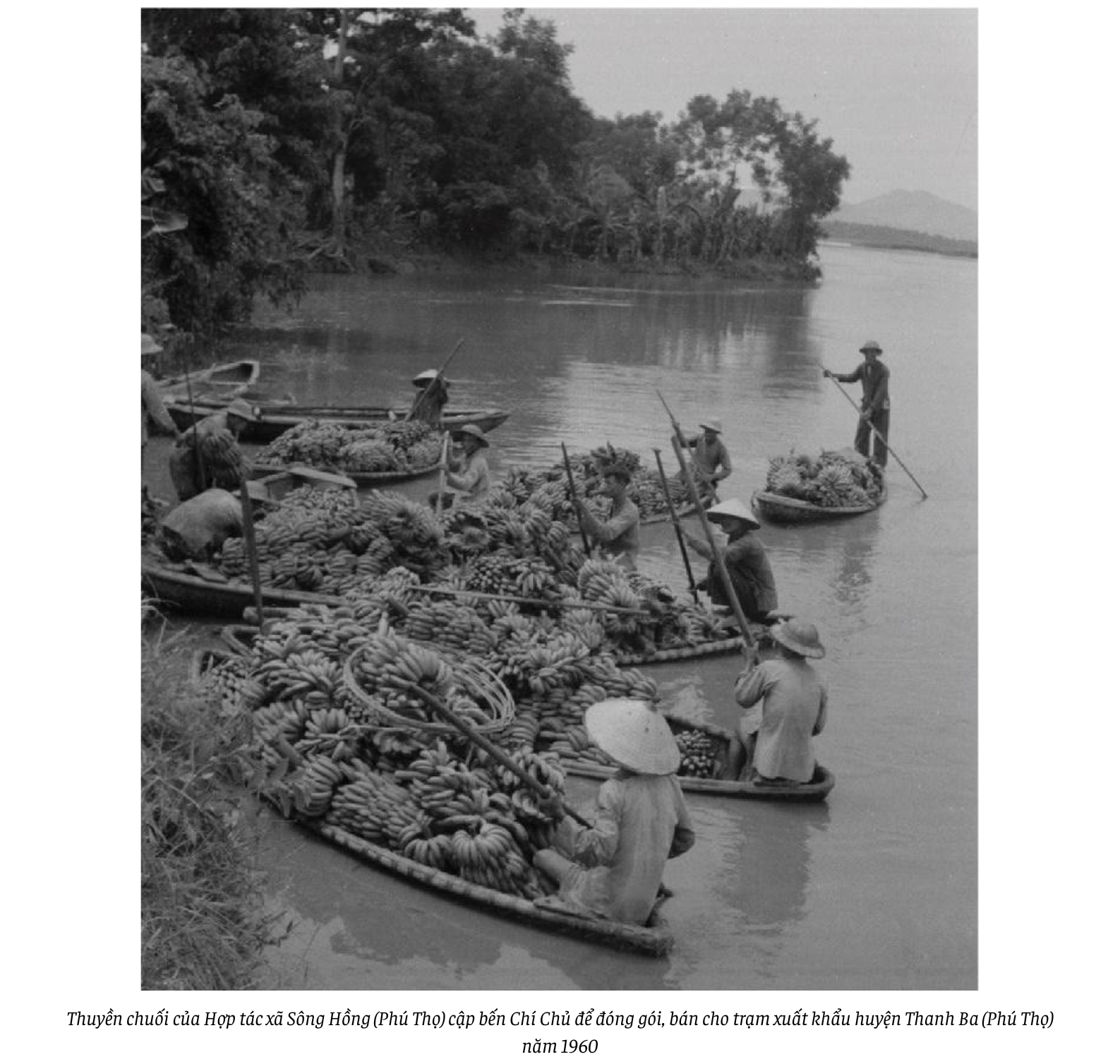 Những mốc son lịch sử phát triển hệ thống phân phối tại thị trường trong nước