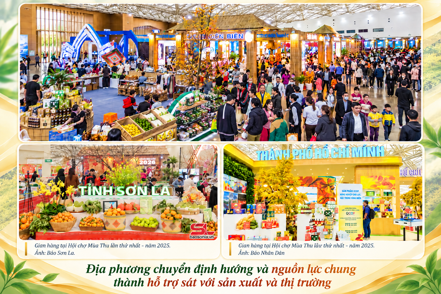 ảnh 12