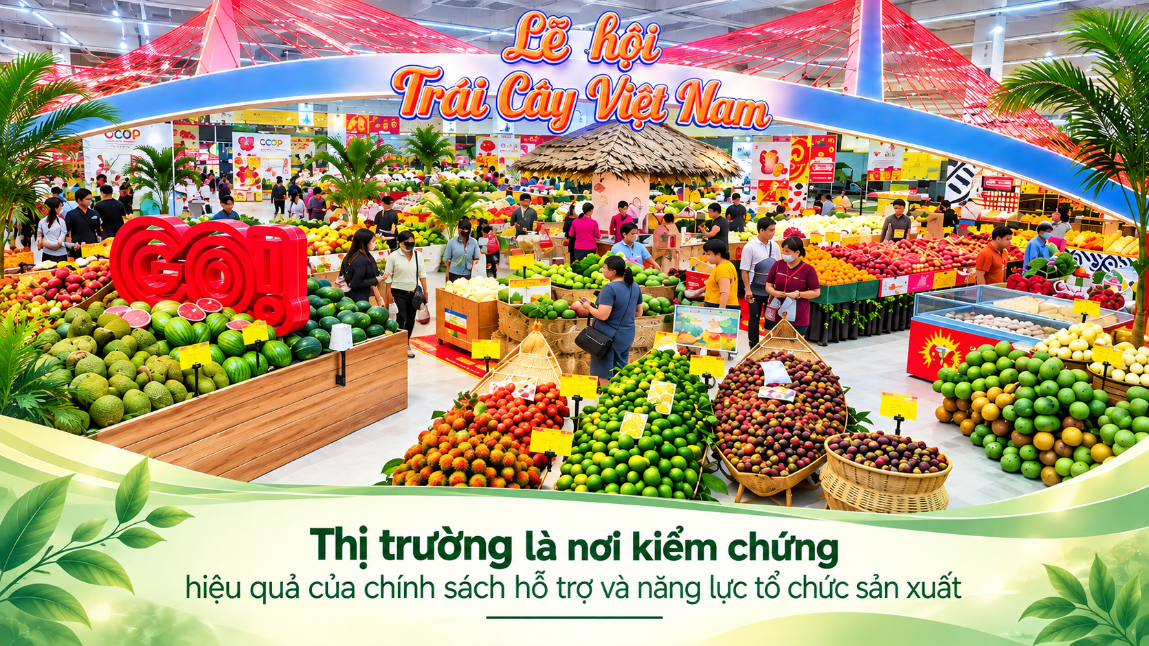 ảnh 3