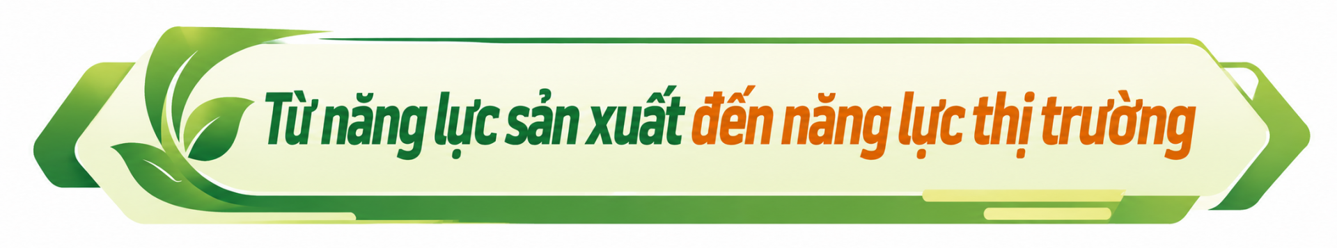 tít xen 1