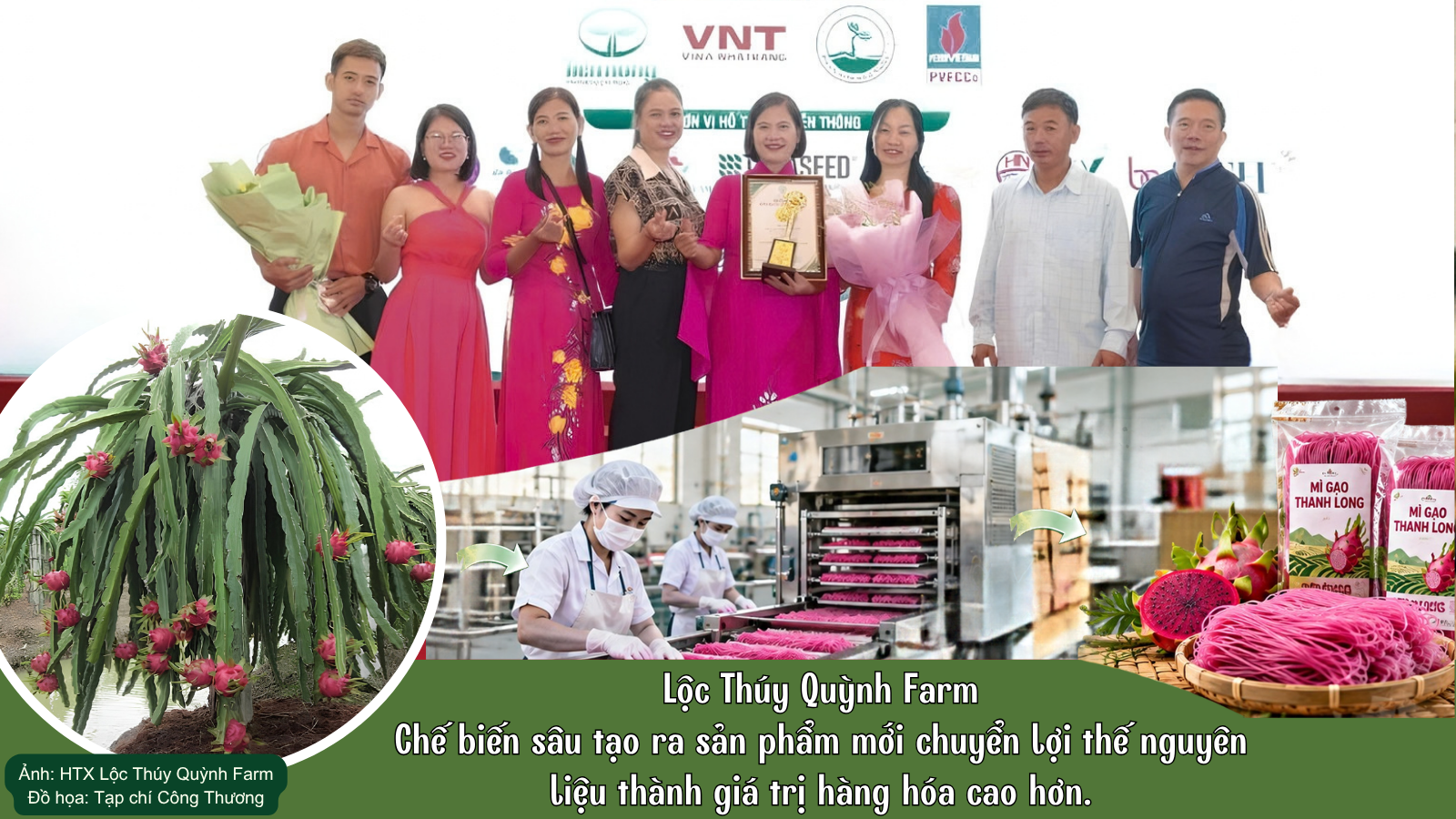 Lộc Thúy Quỳnh Farm cho thấy quá trình chuyển đổi sâu