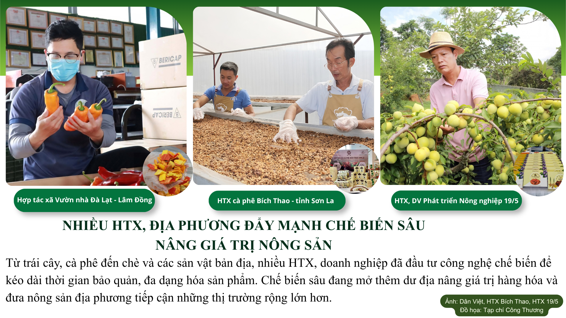 Chế biến sâu ở các HTX giúp nâng giá trị sản phẩm lên nhiều lần