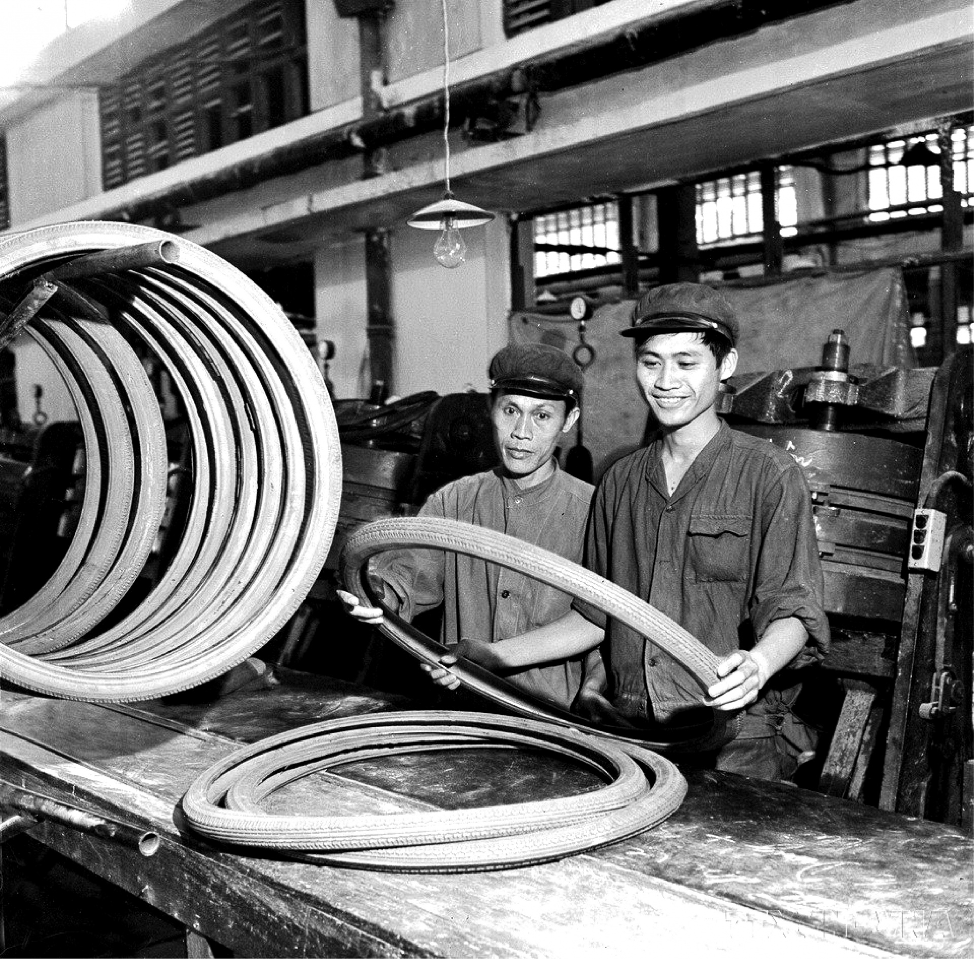 Nhà máy Cao su Sao Vàng Hà Nội tự thiết kế, chế tạo, lắp đặt toàn bộ dây chuyền sản xuất lốp xe đạp cỡ 680 milimet. Trong ảnh: Những chiếc lốp xe đạp vừa được tháo ra từ khuôn hấp của dây chuyền sản xuất mới của Nhà máy, tháng 10/1974. (Ảnh: TTXVN)