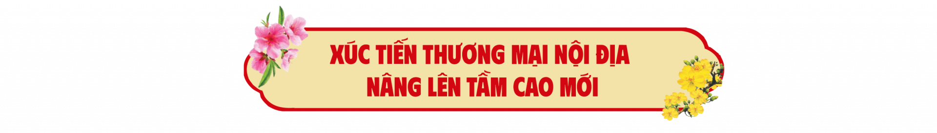 Bức tranh thị trường trong nước: Đa sắc và vững chắc hơn