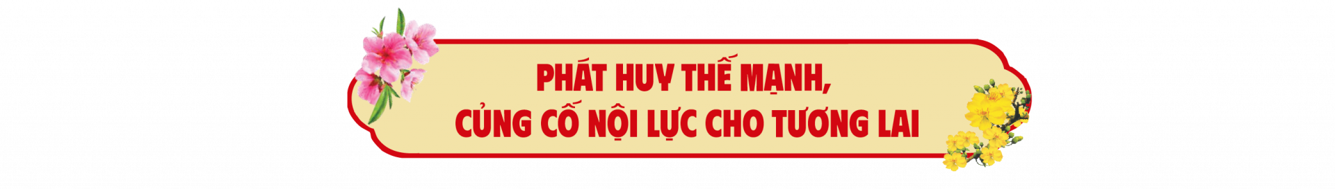 Bức tranh thị trường trong nước: Đa sắc và vững chắc hơn