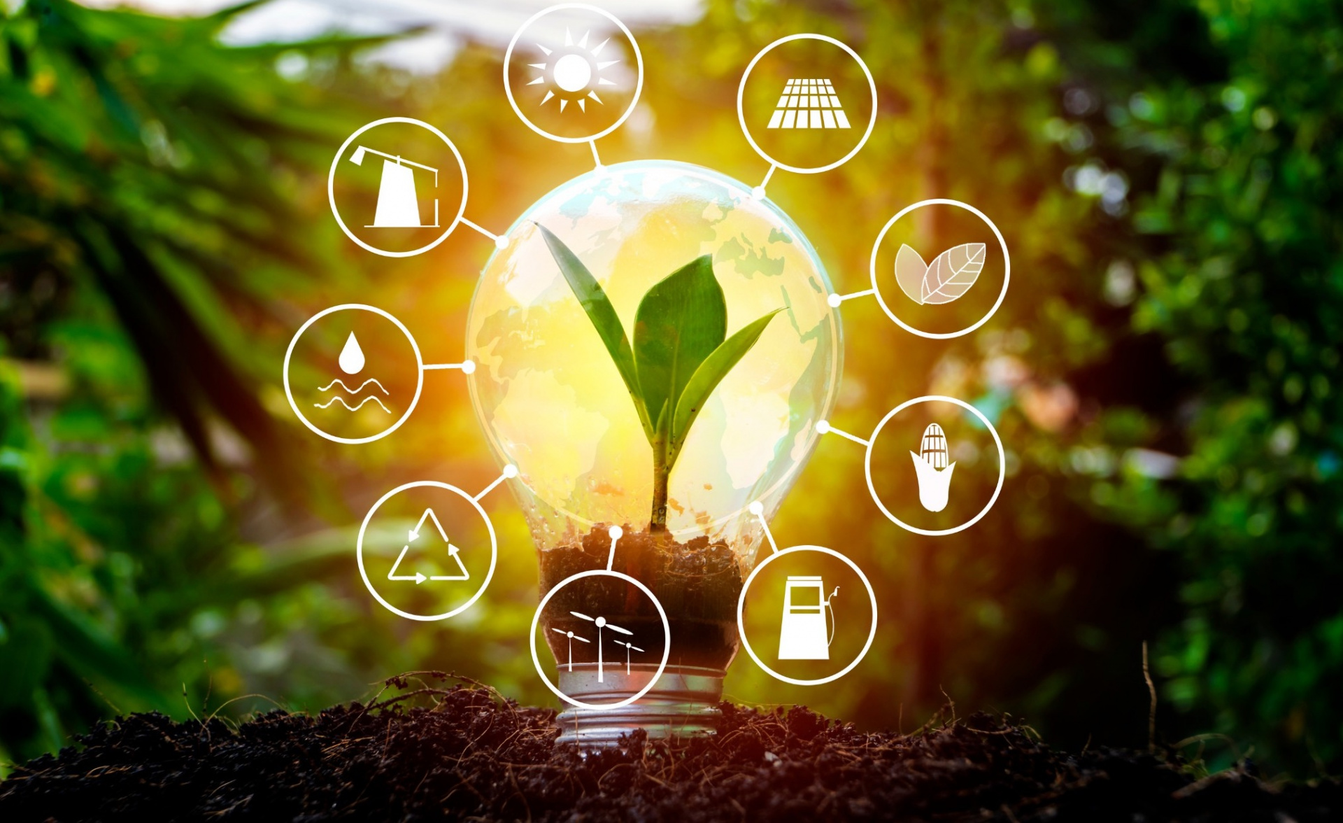 tiết kiệm năng lượng