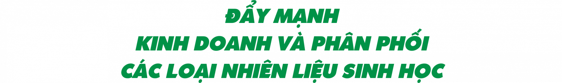 Đẩy mạnh kinh doanh và phân phối các loại nhiên liệu sinh học