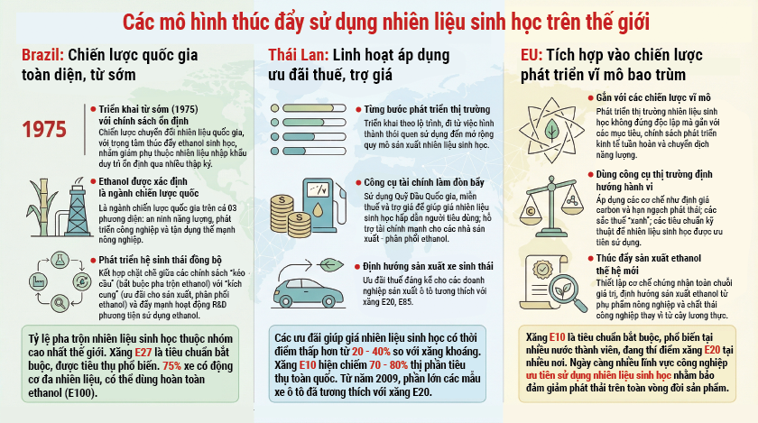 Thúc đẩy sử dụng nhiên liệu sinh học: Lăng kính tiếp cận đa dạng trên thế giới