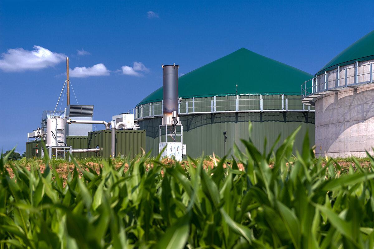 Thúc đẩy sử dụng nhiên liệu sinh học: Lăng kính tiếp cận đa dạng trên thế giới