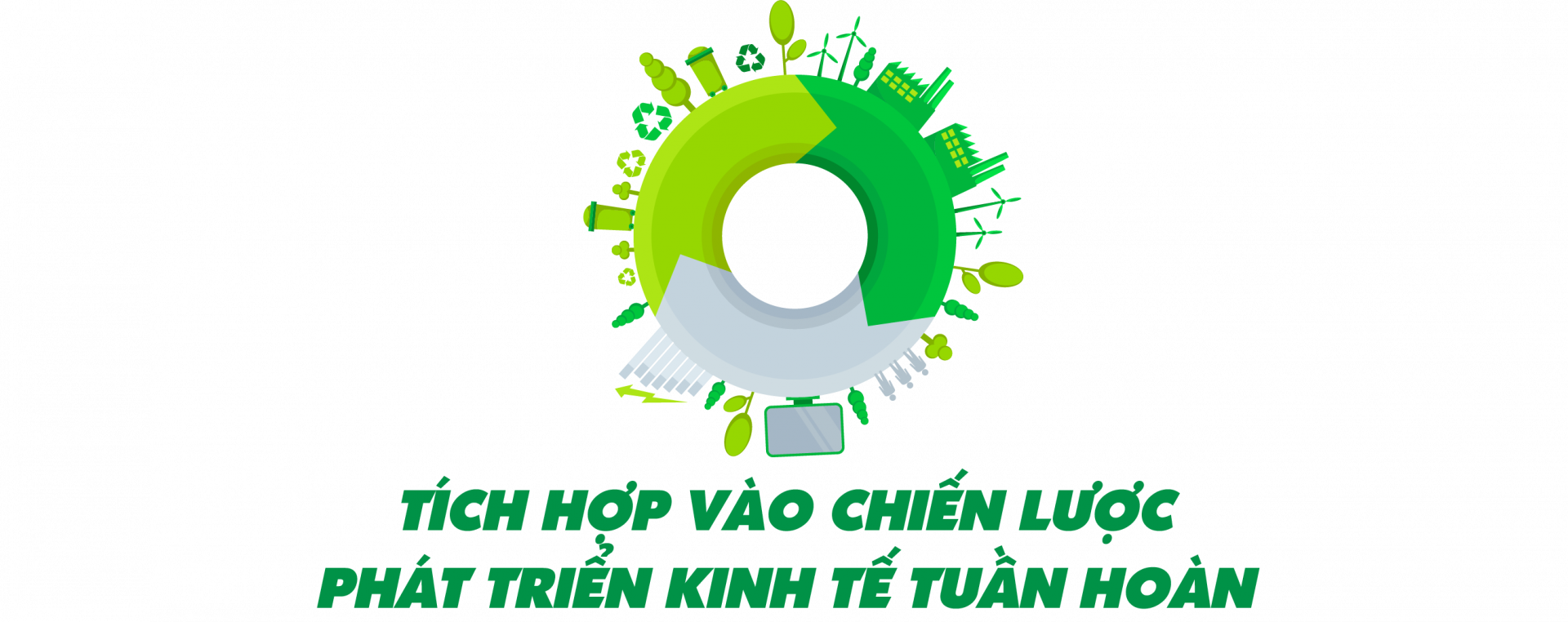 Tích hợp vào chiến lược phát triển kinh tế tuần hoàn