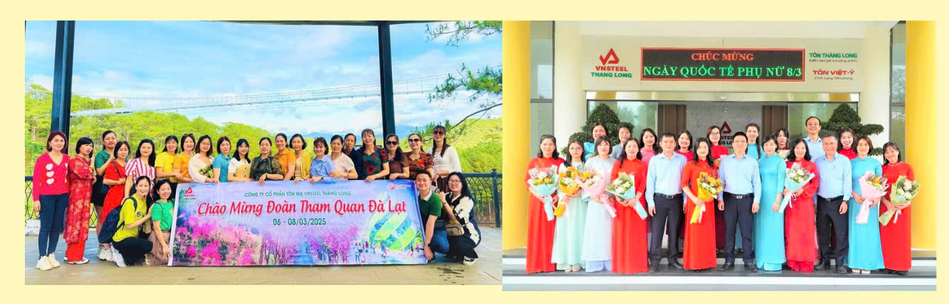 Tôn mạ VNSTEEL Thăng Long