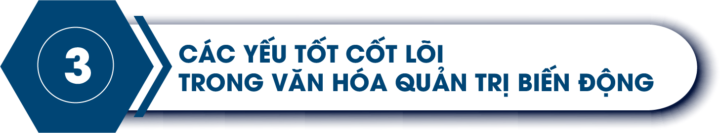 quản trị biến động