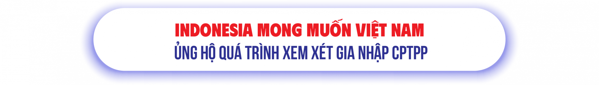 Indonesia mong muốn Việt Nam ủng hộ quá trình xem xét gia nhập CPTPP