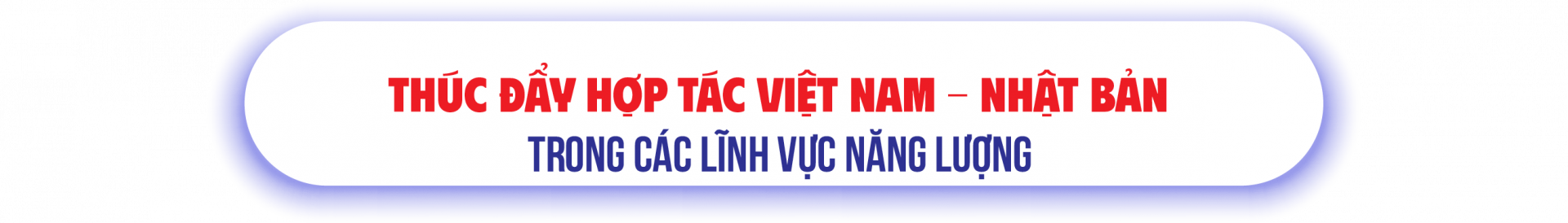 Thúc đẩy hợp tác Việt Nam - Nhật Bản trong các lĩnh vực năng lượng