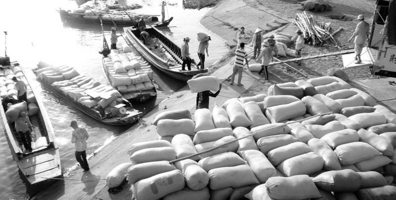 Sức mạnh nội sinh & Dấu ấn Thương hiệu Việt trên bản đồ thương mại toàn cầu