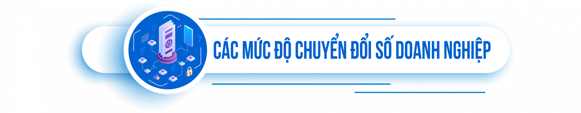 Các mức độ chuyển đổi số doanh nghiệp