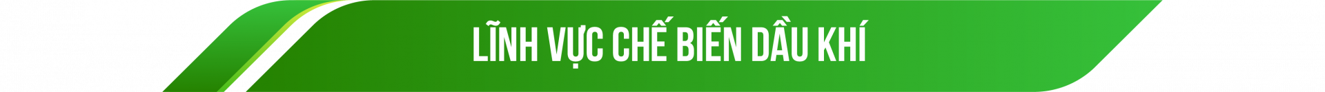 Lĩnh vực chế biến dầu khí