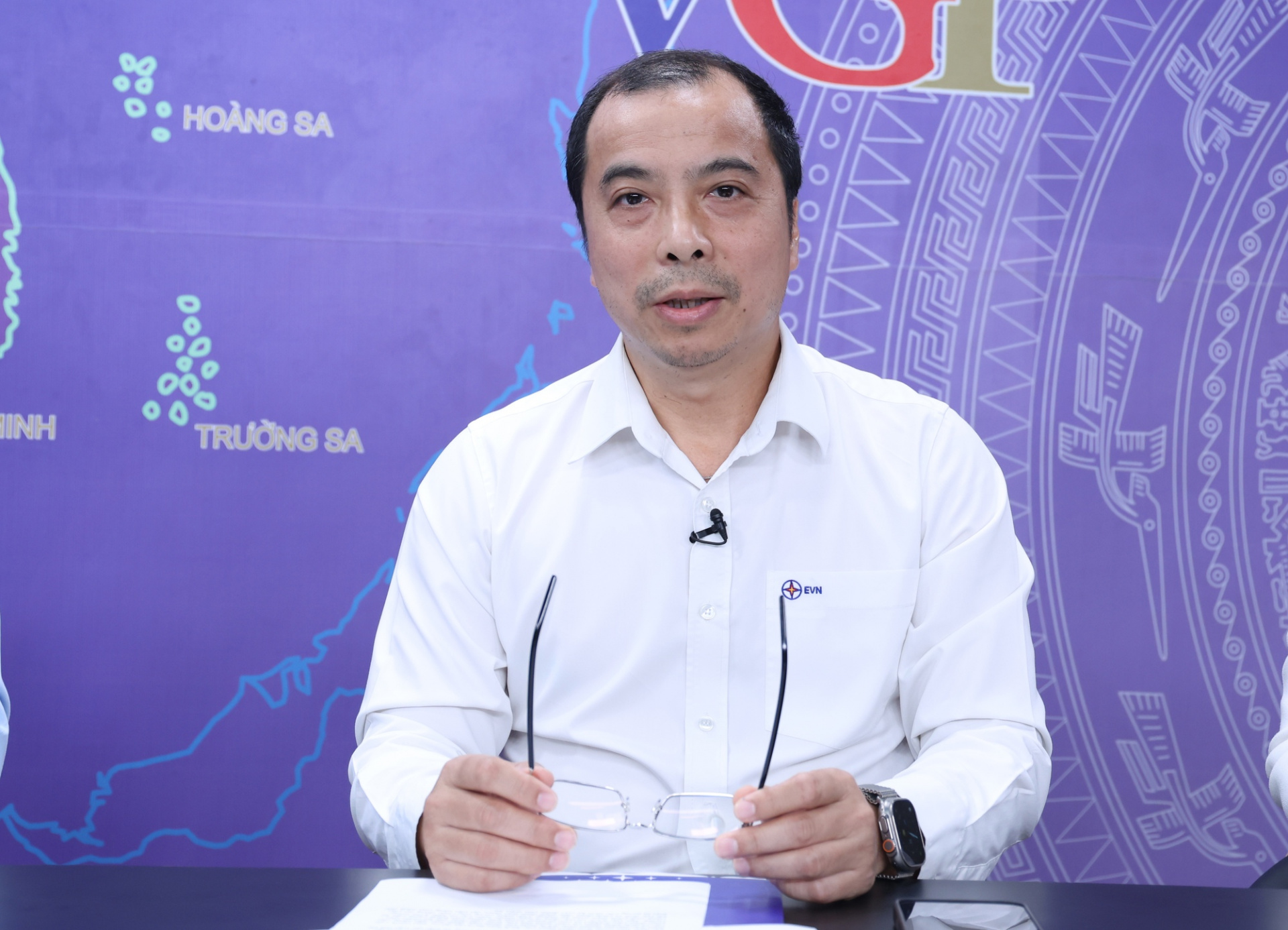 Phó Tổng Giám đốc Tập đoàn Điện lực Việt Nam (EVN) Ngô Sơn Hải - Ảnh: VGP