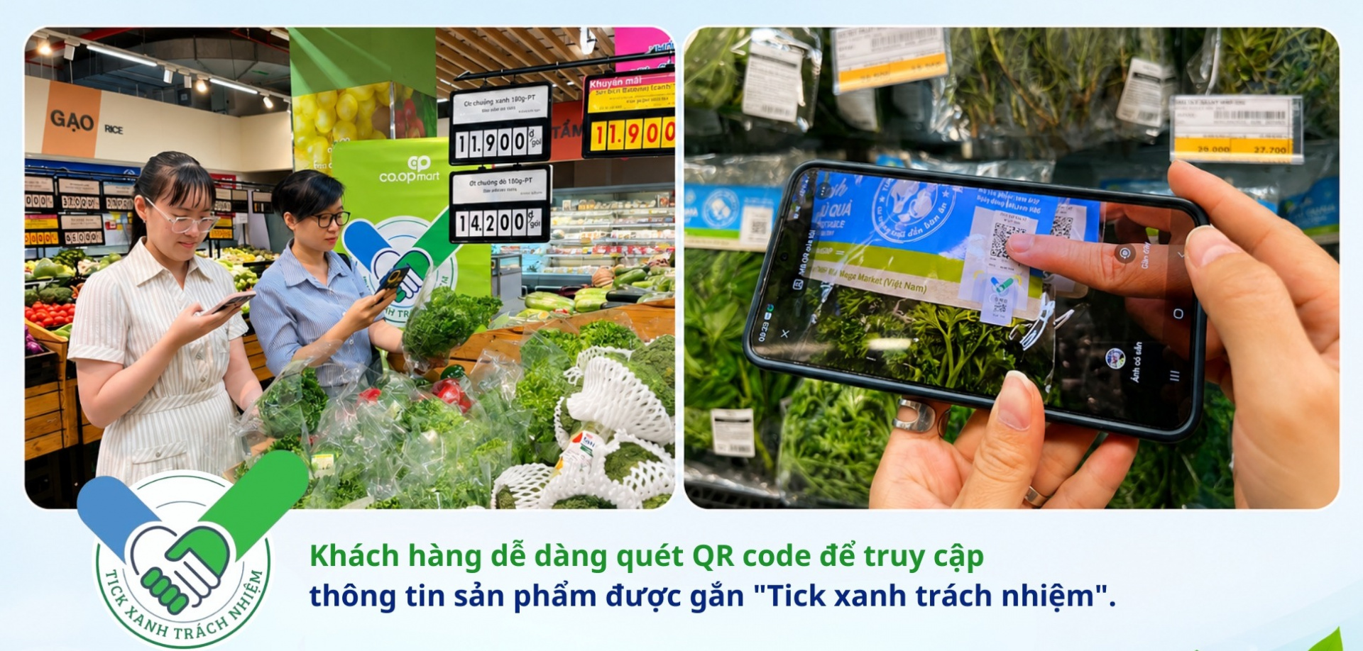 tích xanh trách nhiệm