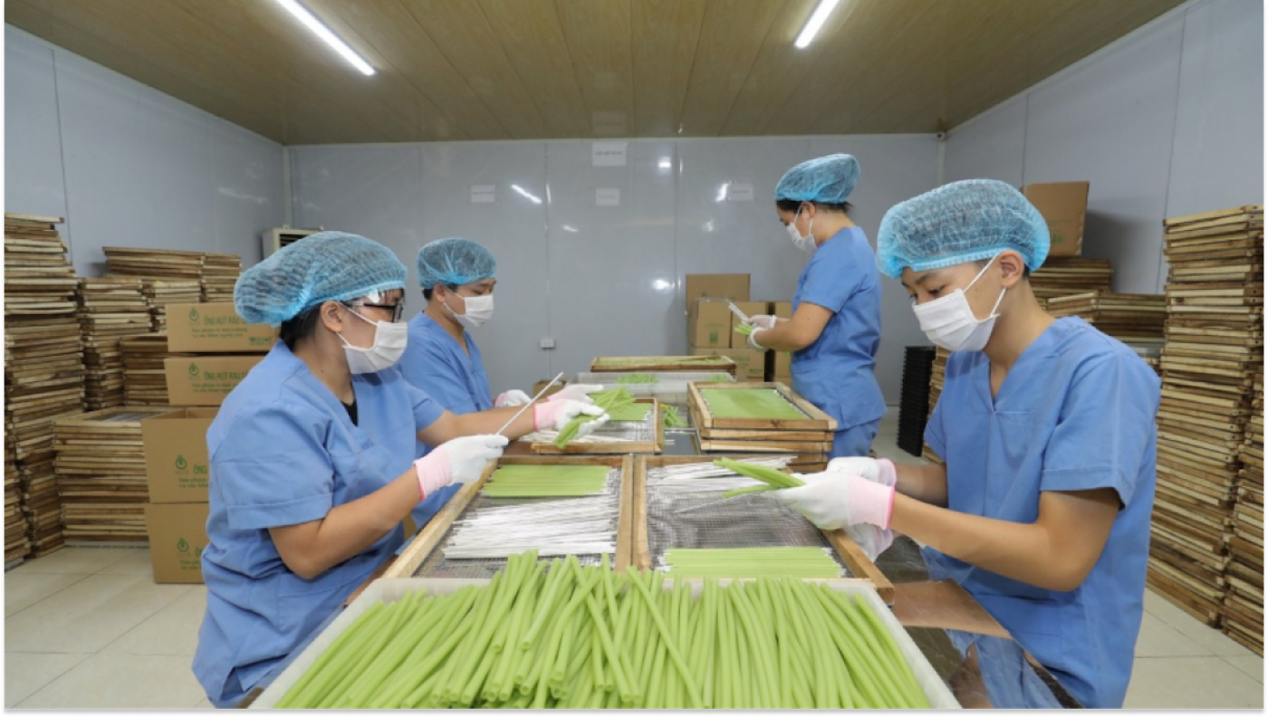 sản xuất sạch
