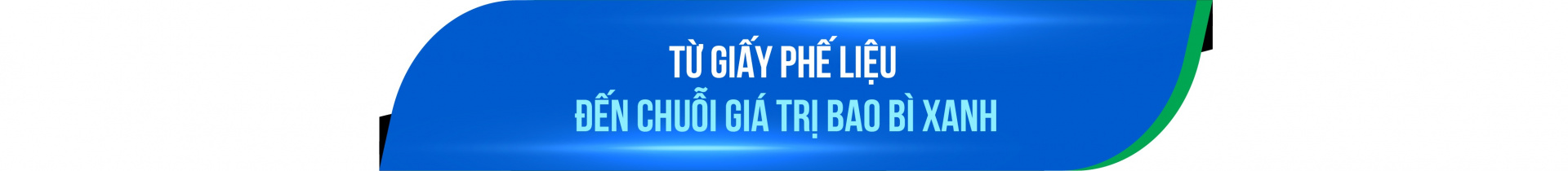 về ngành giấy