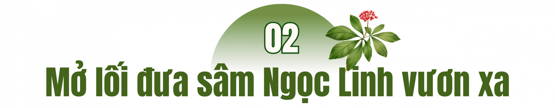 sâm Ngọc Linh