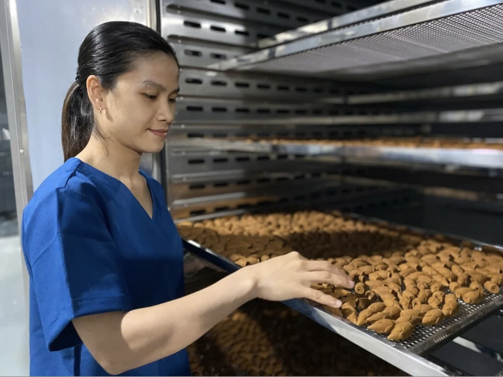 Sản xuất nhang nụ quế tại HTX Quế Trà My Minh Phúc và các sản phẩm chế biến sâu