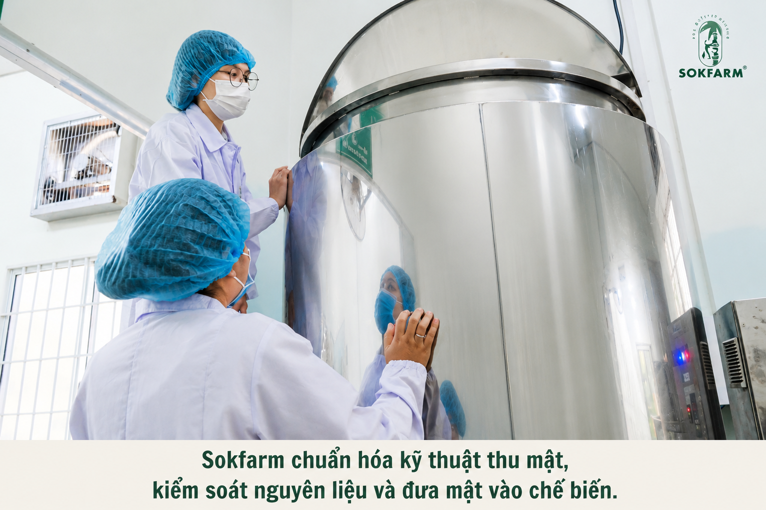 mật hoa dừa