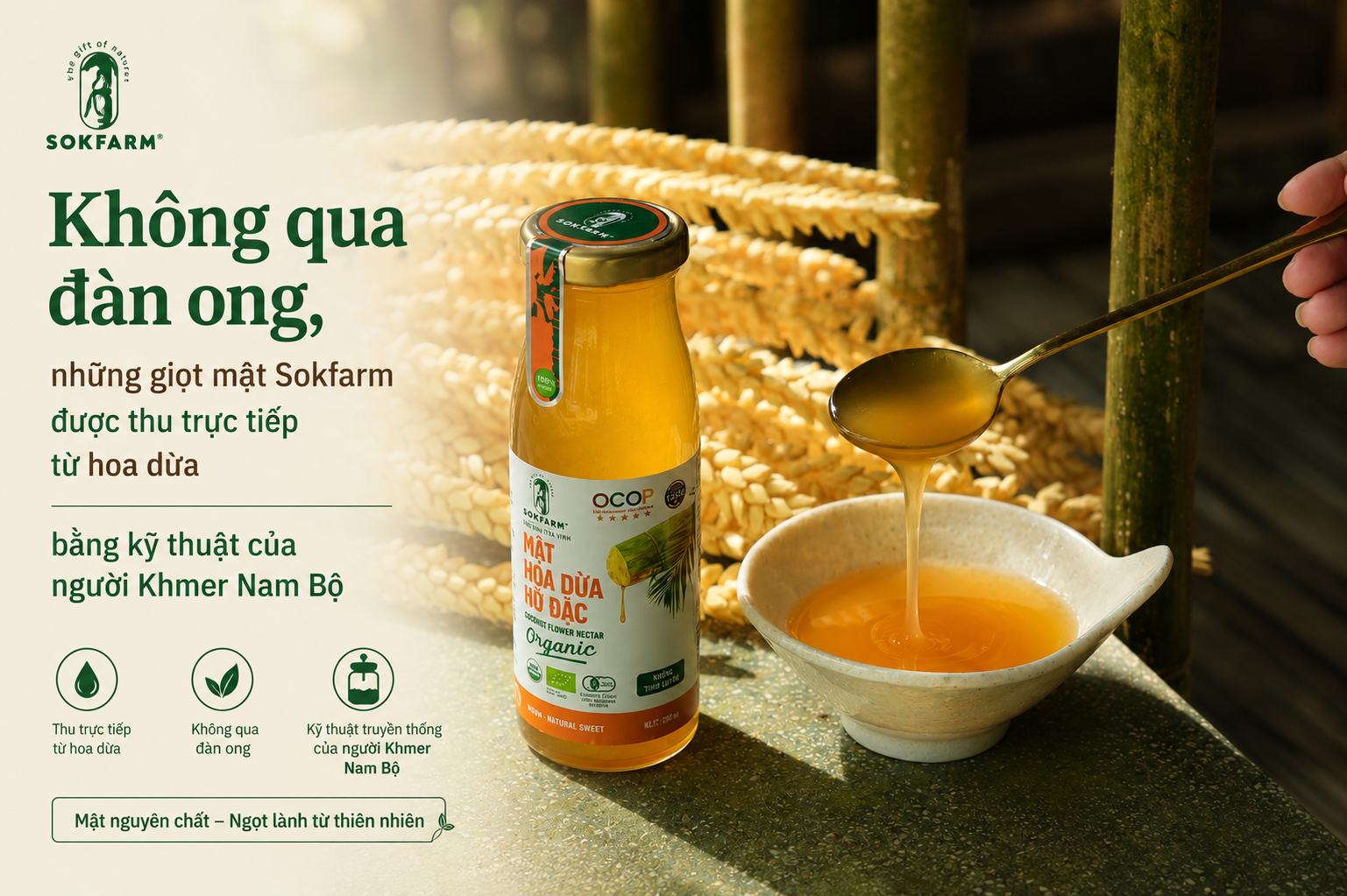mật hoa dừa