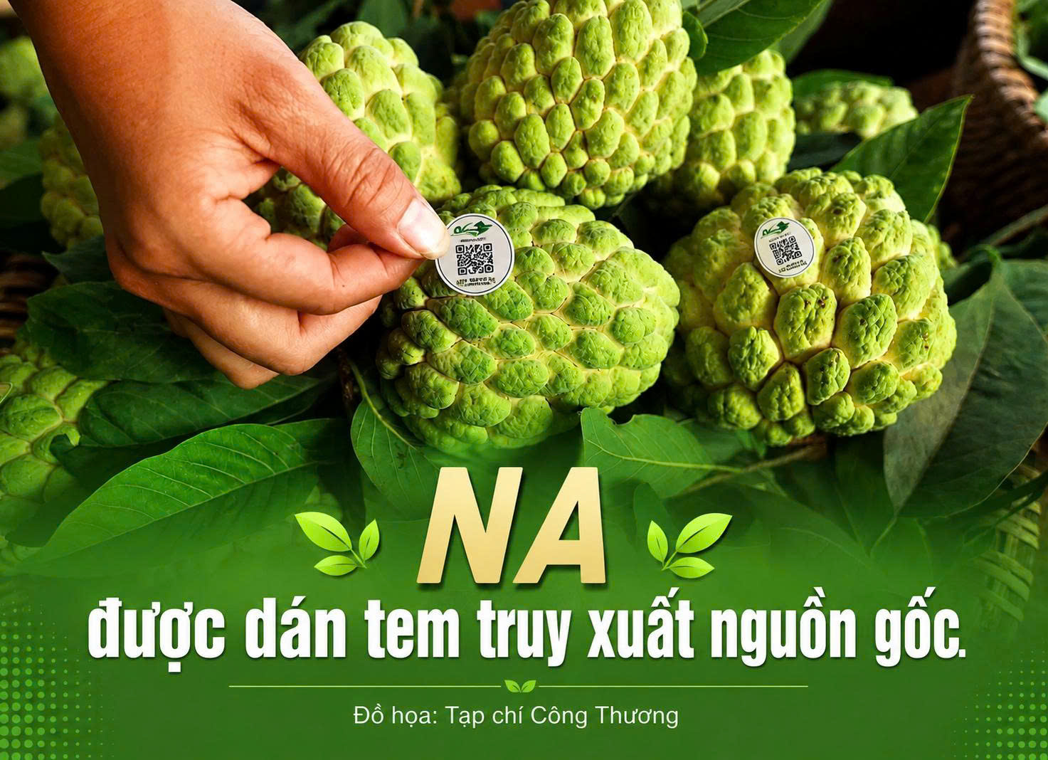Na Chi Lăng