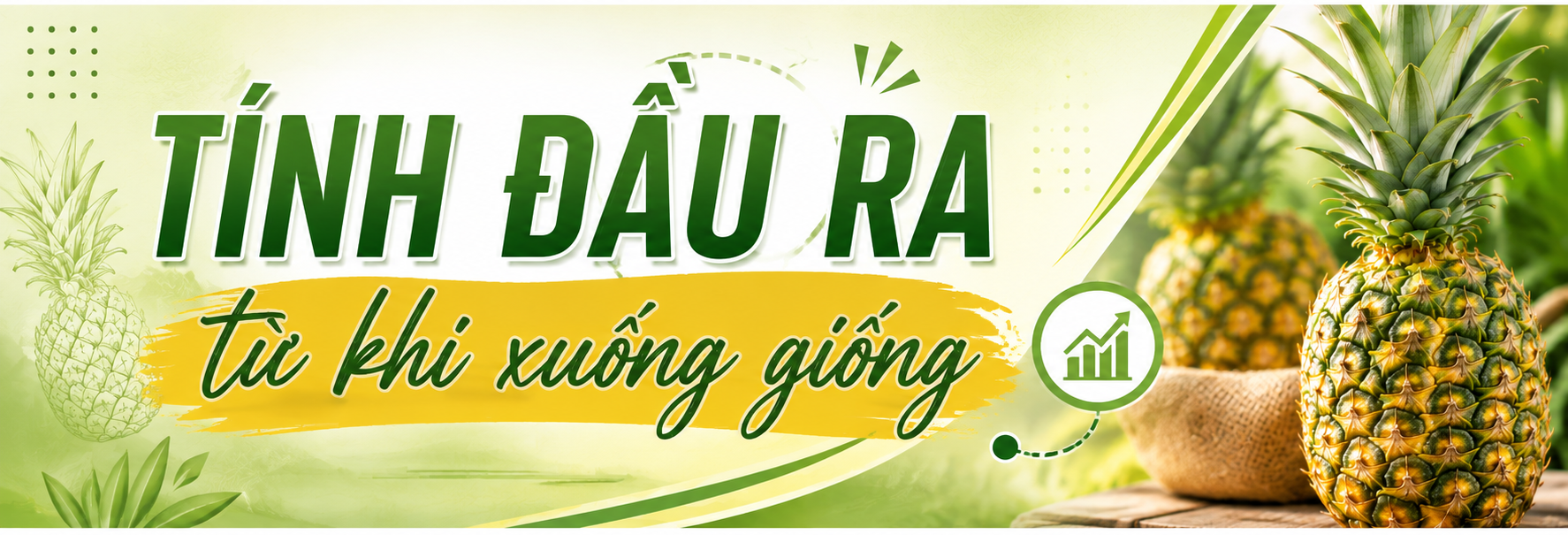 dứa Bản Lầu