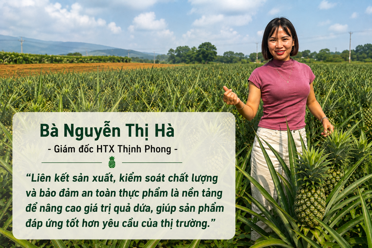 Dứa Bản Lầu