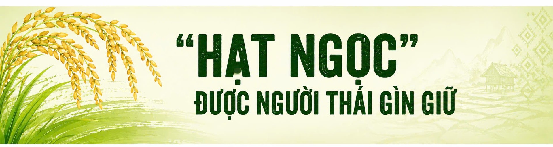 nếp Cay Nọi