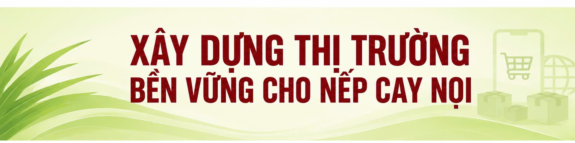Nếp Cay Nọi