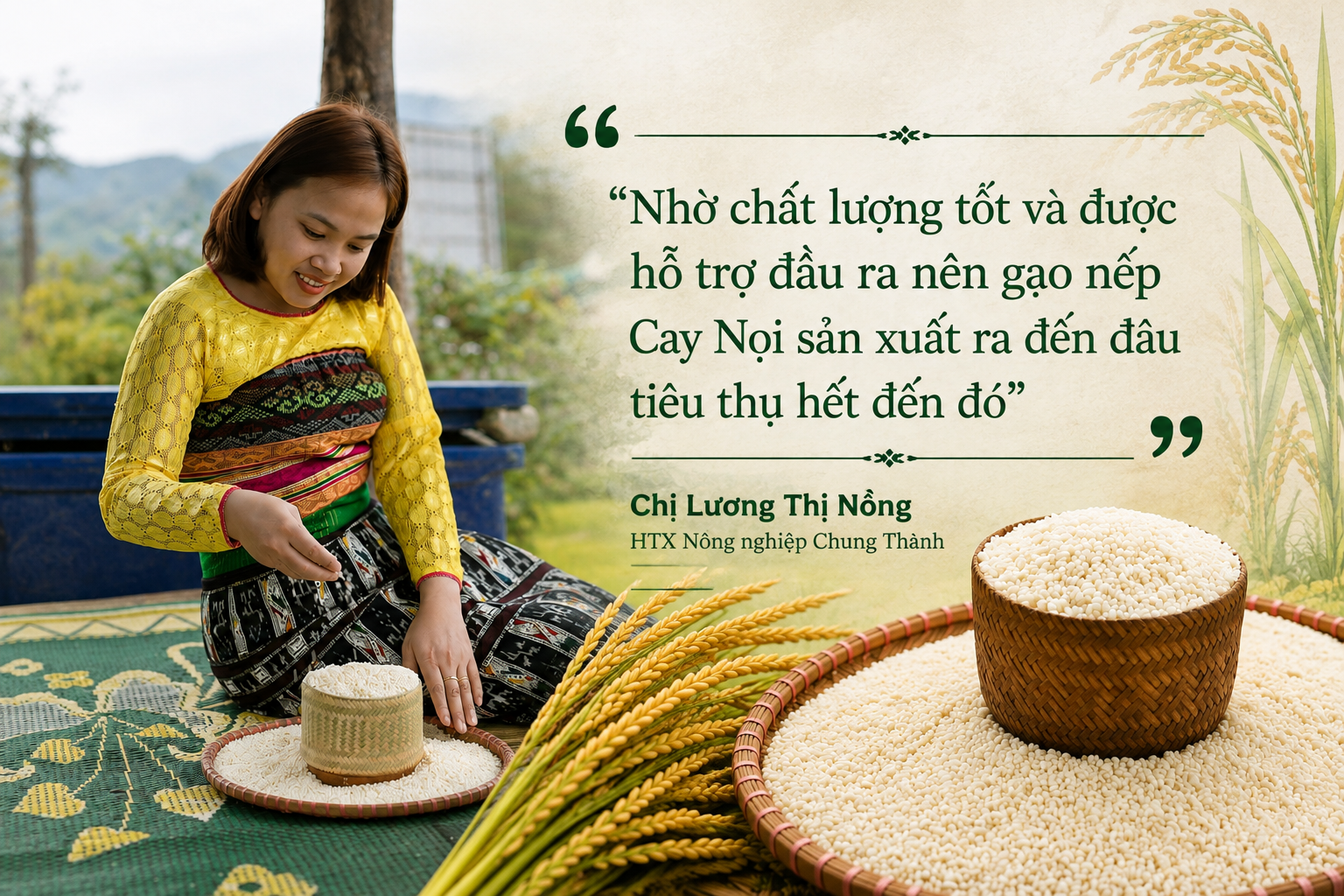 Nếp Cay Nọi